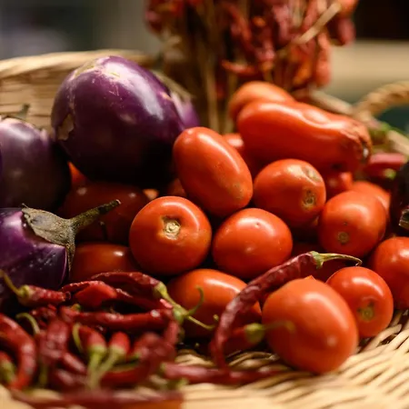 Nike Country Retreat - Rifugio Di Campagna カントリーハウス Controguerra