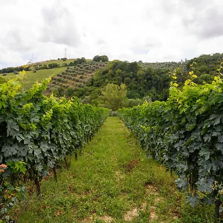 Country house Nike Country Retreat - 6