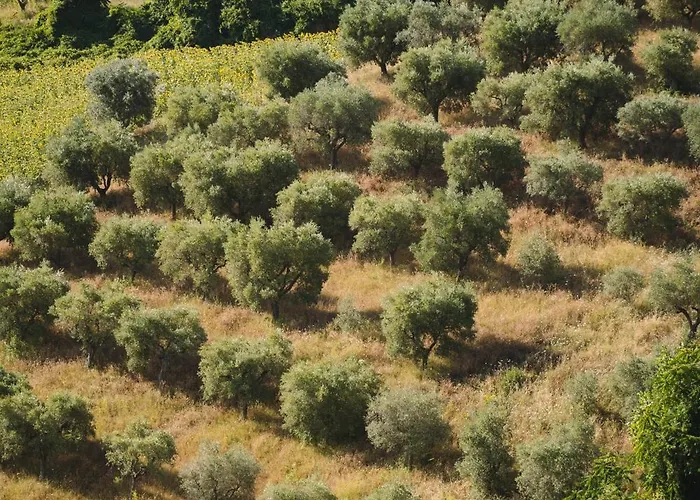 カントリーハウス Nike Country Retreat - Rifugio Di Campagna