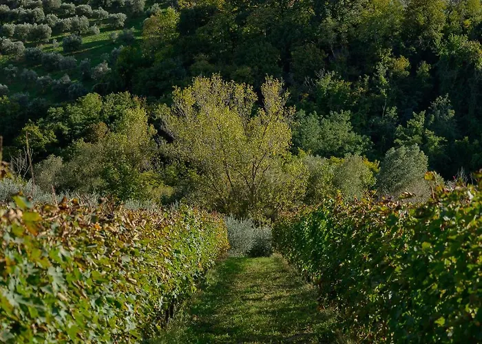 カントリーハウス Nike Country Retreat - Rifugio Di Campagna Controguerra