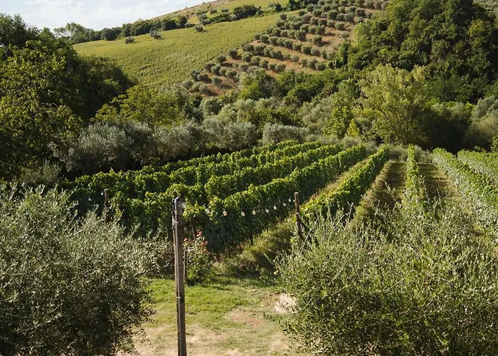 Nike Country Retreat - Rifugio Di Campagna カントリーハウス Controguerra