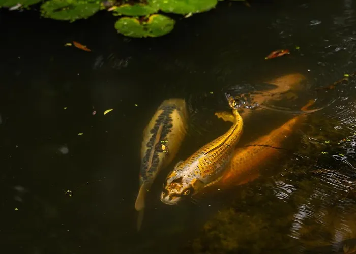 Venkovský dům Nike Country Retreat - Rifugio Di Campagna