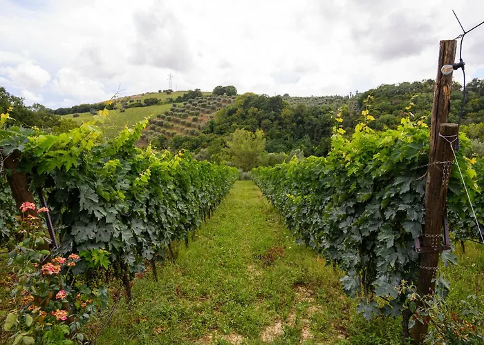 カントリーハウス Nike Country Retreat - Rifugio Di Campagna